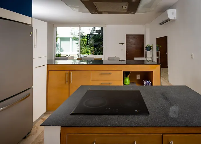 Apartment Magnificent 2 Blocks From The And 5th Ave Playa del Carmen